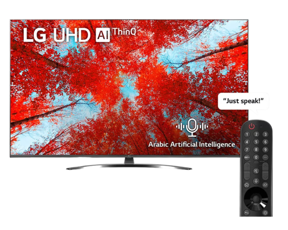 LG TV 65 4K IPS HDR10 HLG ALLM Î±5 AI (65UQ91006LC)