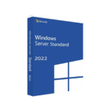 Microsoft Windows Svr Std 2022 64Bit French 1pk DS (P73-08329)