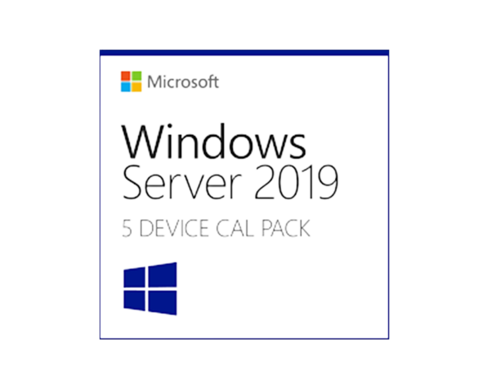 MS Windows Server CAL 2019 French 1pk DSP OEI 5 Clt Device CAL (R18-05830)