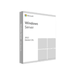 Microsoft Windows Server CAL 2022 French 1pk DSP O (R18-06431)