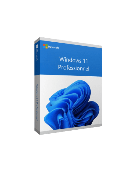 Microsoft Windows 11 Pro 64 bits FranÃ§ais (Licence originale + DVD) (FQC-10532)-1